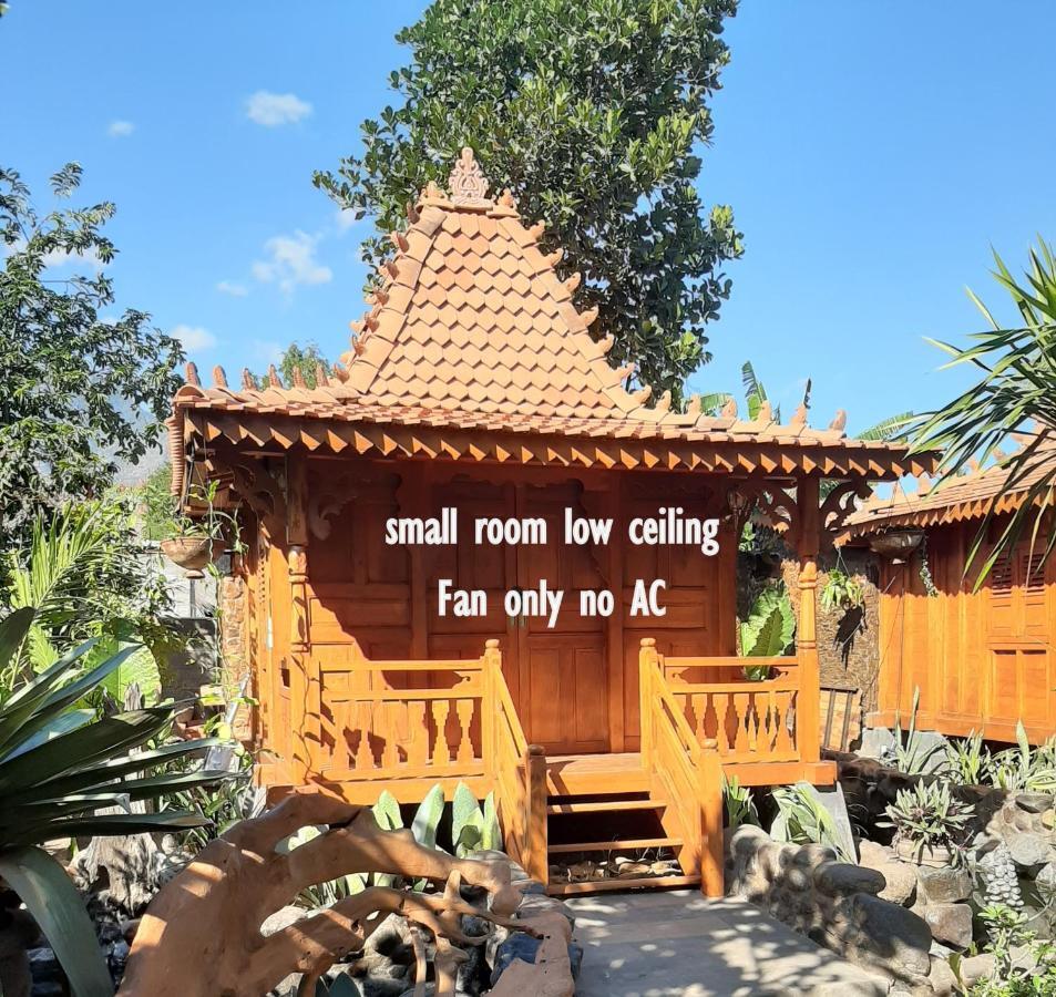 Hotel Hibiscus House Pemuteran Extérieur photo